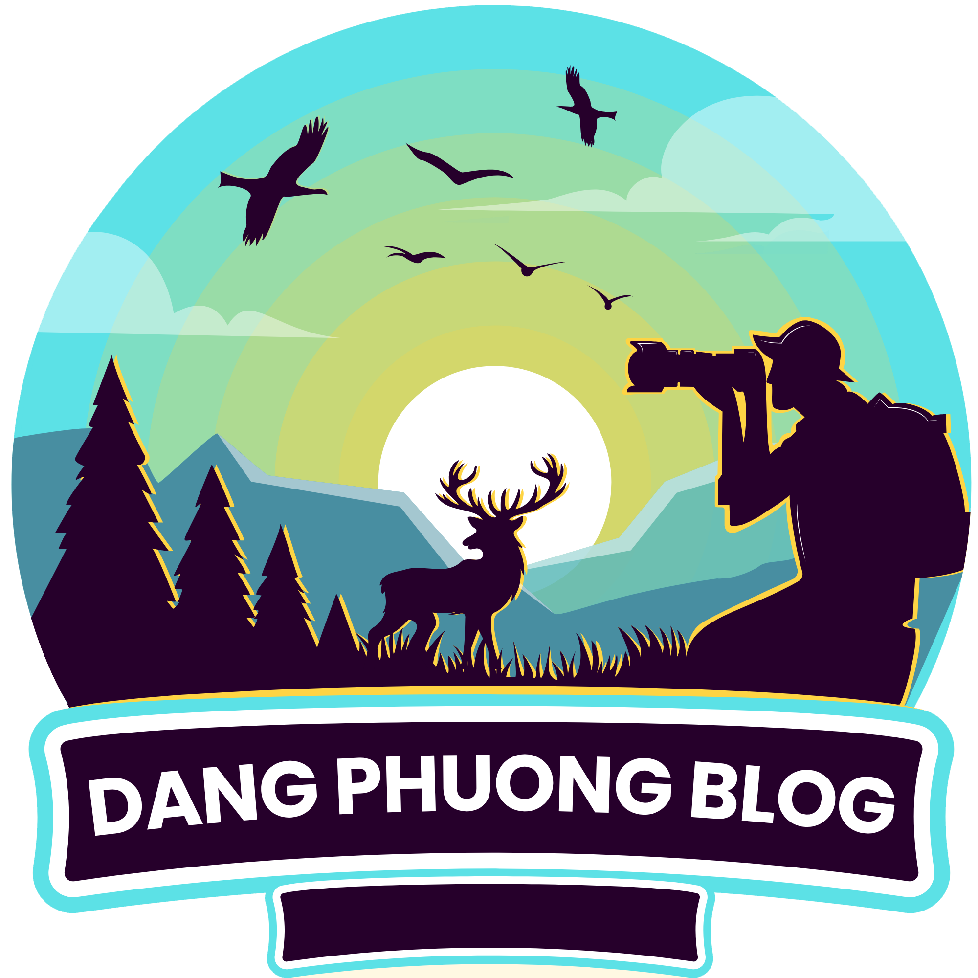 Chia sẻ kiến thức thực tế về làm web, kiếm tiền online và bất động sản